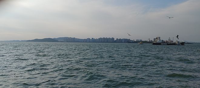 20201001_164326.jpg