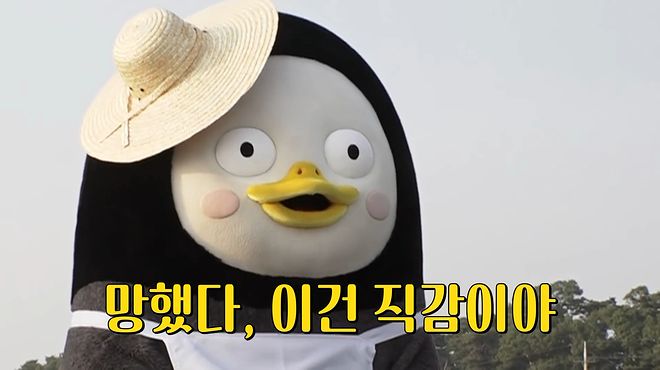 망했다 이건 직감.png