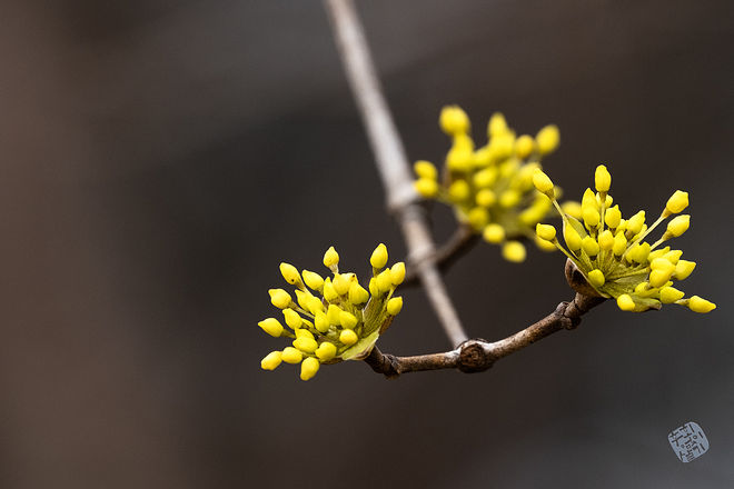 20210313 인천대공원 001.jpg