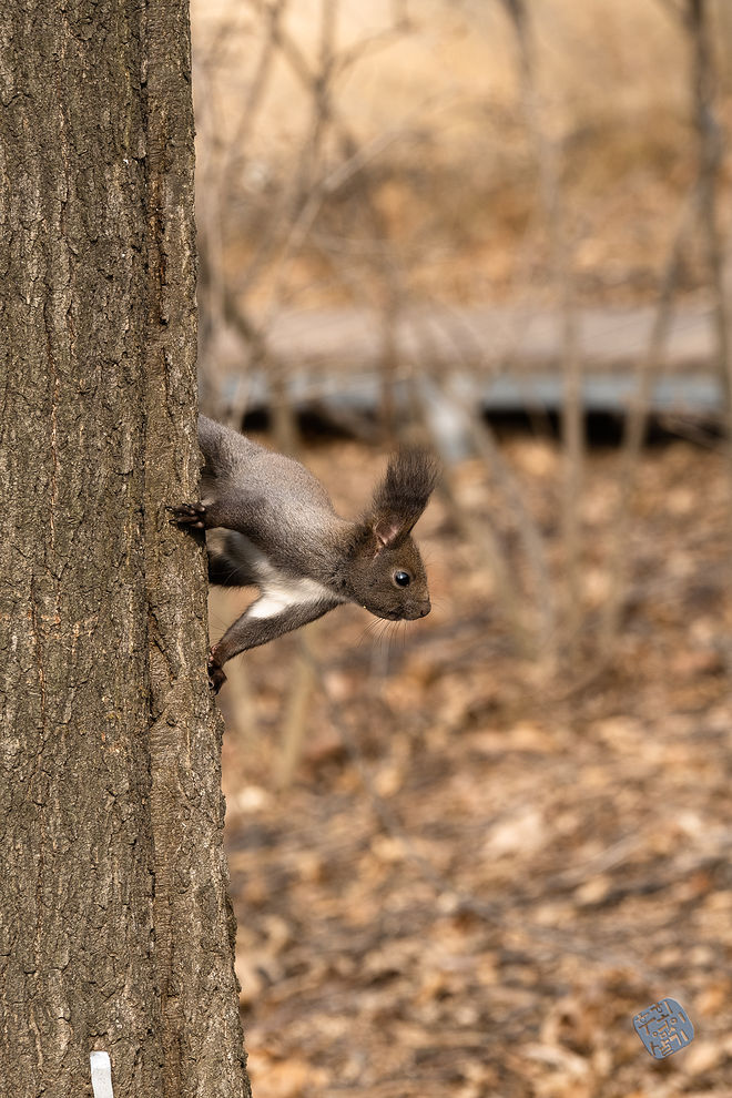 20210313 인천대공원 027.jpg