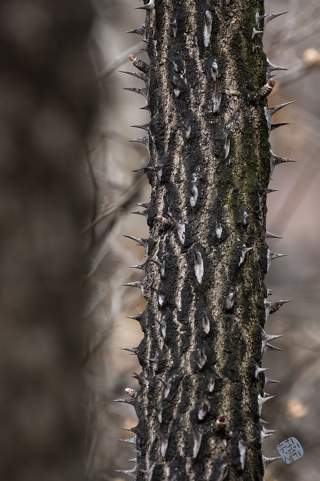 20210313 인천대공원 049.jpg