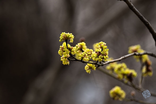 20210313 인천대공원 052.jpg