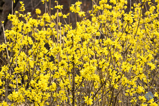 20210313 인천대공원 063.jpg