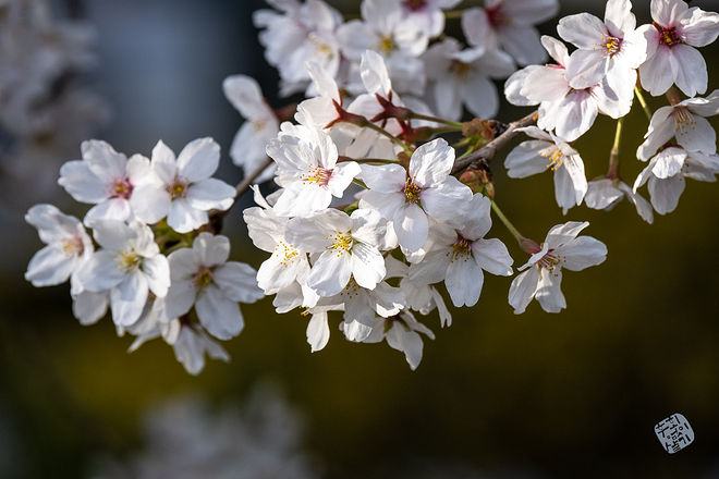 20210401 서부간선수로 005.jpg