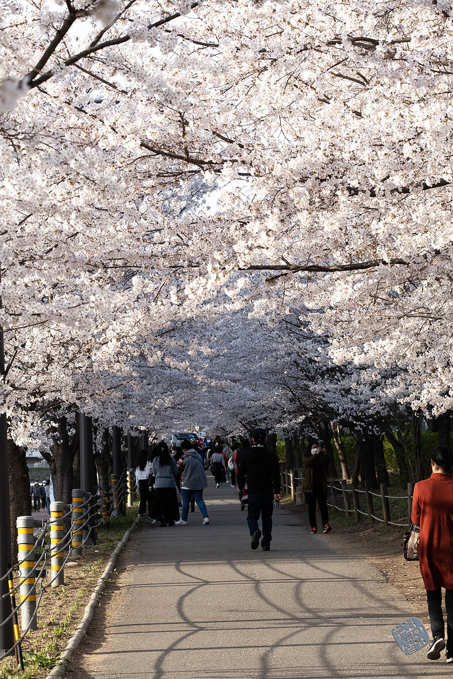 20210401 서부간선수로 011.jpg
