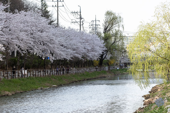 20210401 서부간선수로 008.jpg