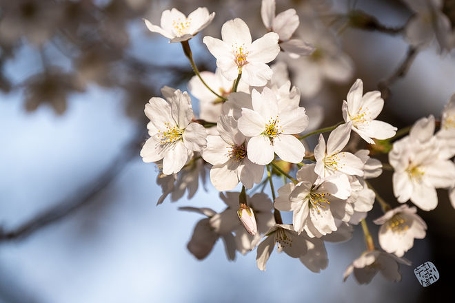 20210401 서부간선수로 016.jpg