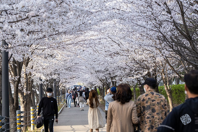 20210401 서부간선수로 017.jpg