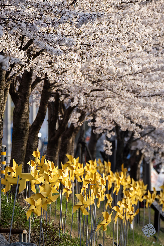 20210401 서부간선수로 029.jpg