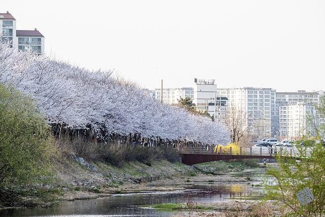 20210401 서부간선수로 031.jpg