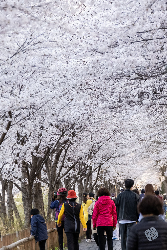 20210401 서부간선수로 038.jpg