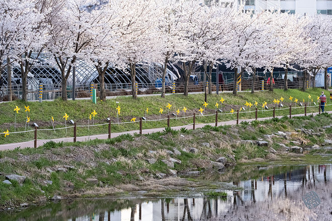 20210401 서부간선수로 039.jpg