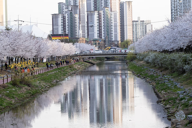 20210401 서부간선수로 056.jpg