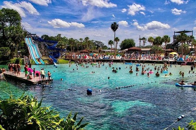 Weeki Wachee Springs State Park's Buccaneer Bay Just Opened For The 2020  Season - Narcity