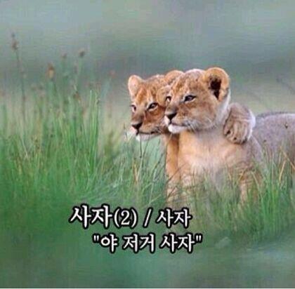 짤모음] 짤 주워가세요 : 네이버 블로그