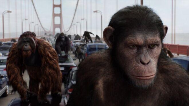 달콤한 사이언스] '혹성탈출' 현실화? 영장류 진화속도 빨라졌다 | 서울신문