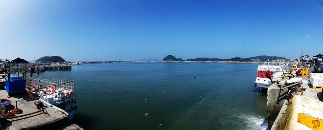 200819-01 신진항.jpg