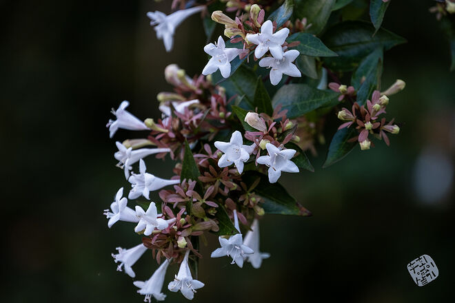 0210819 굴포천116.jpg