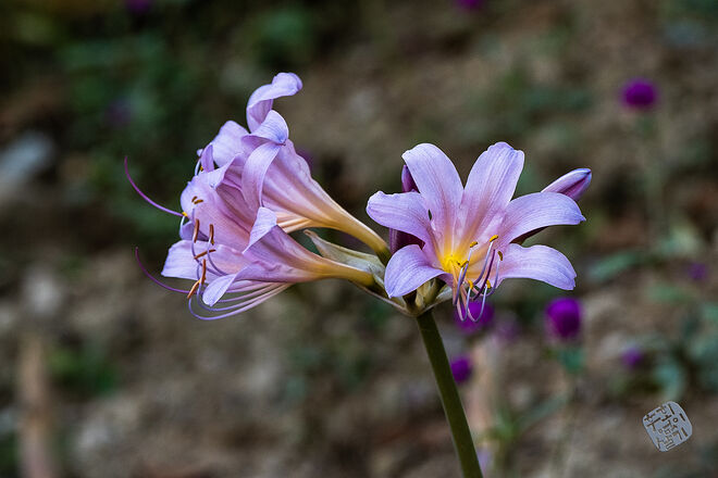 0210819 굴포천113.jpg