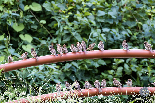 0210819 굴포천117.jpg