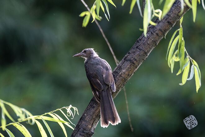 0210819 굴포천131.jpg