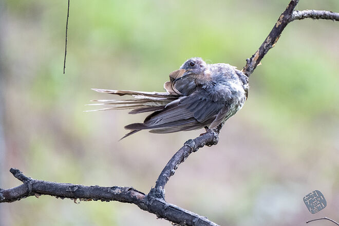 0210819 굴포천133.jpg