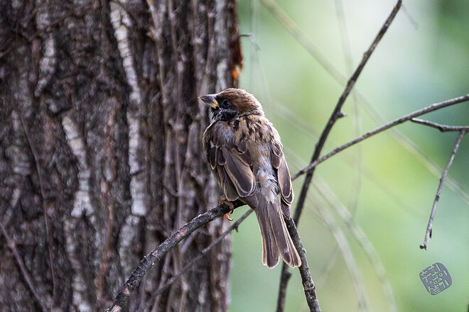 0210819 굴포천137.jpg