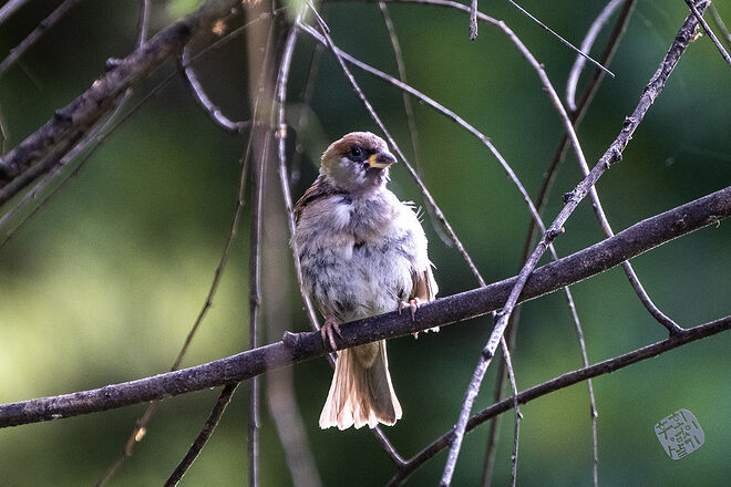 0210819 굴포천142.jpg