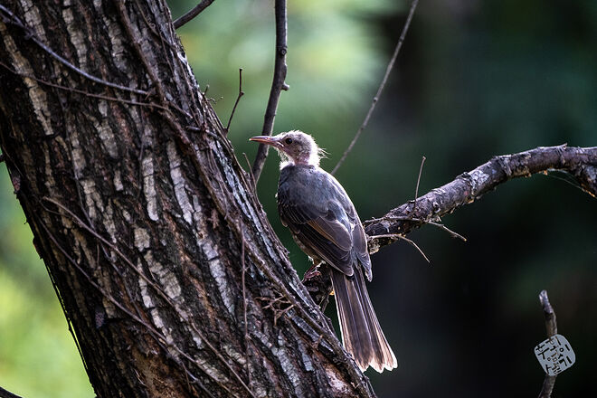 0210819 굴포천139.jpg