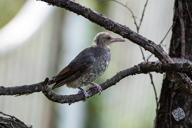 0210819 굴포천145.jpg