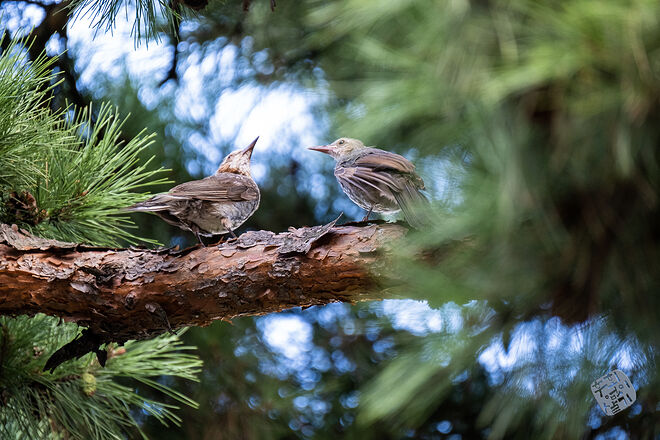 0210819 굴포천150.jpg