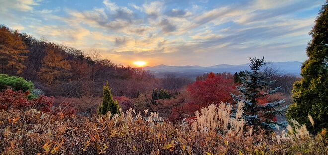 경기도쪽 수목원 가볼만한 곳 추천부탁드립니다.