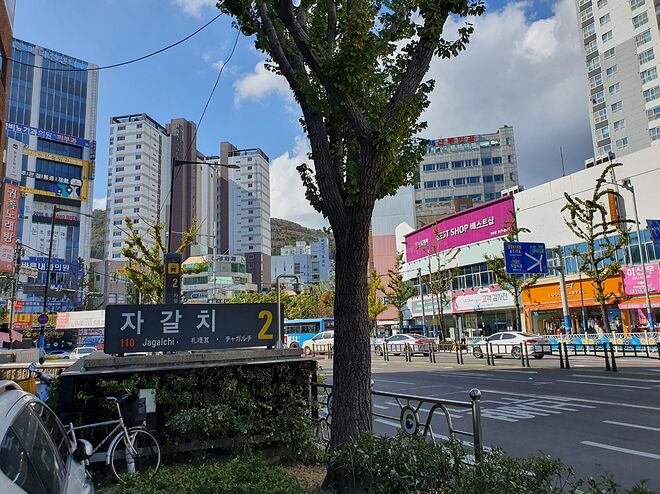 부산 양대 산맥의 숙성횟집 자갈치 명물횟집! - DPrime