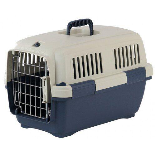 (고양이 시리즈) 행동교정