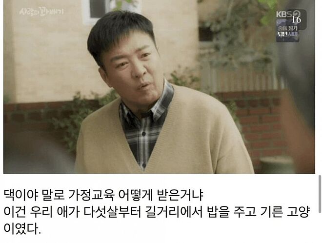 극단적인 캣맘 묘사로 욕먹고 있는 KBS2 일일극 사랑의 꽈배기 - DPrime