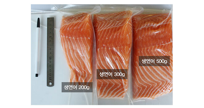 salmon_04.jpg