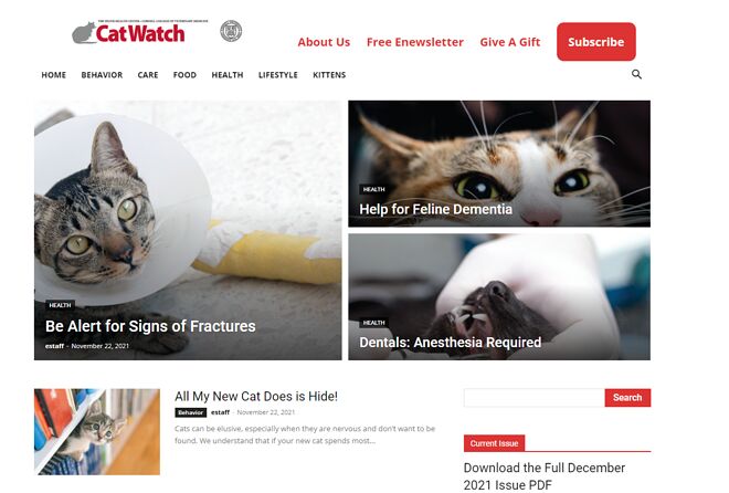 (고양이 시리즈) 행동교정