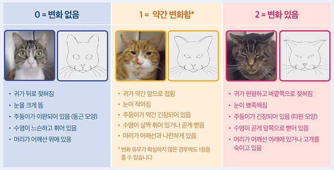(고양이 시리즈) 행동교정