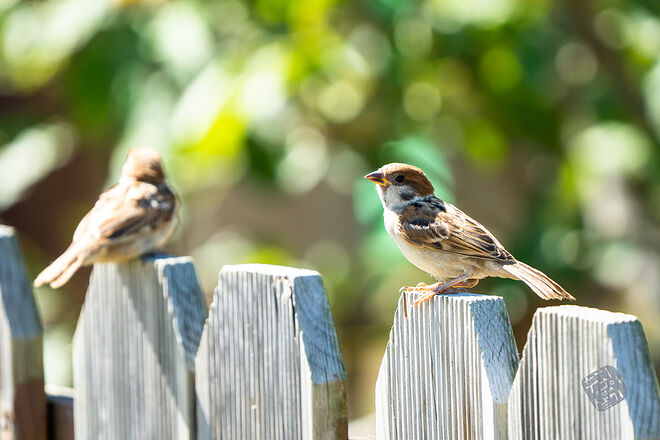 20220827 관곡지  017.jpg
