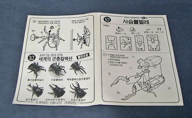 사본 -P2050210.JPG