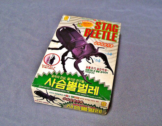 사본 -P2050203-1.JPG