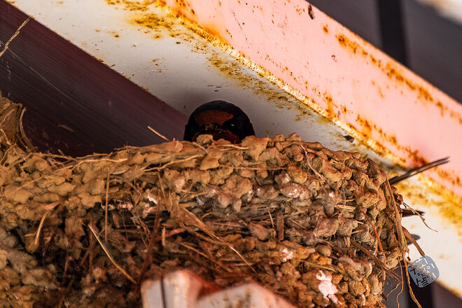 20230502 교동 004.jpg