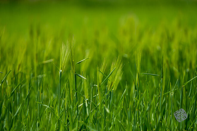 20230502 난정저수지 001.jpg