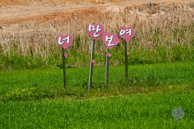 20230502 난정저수지 025.jpg