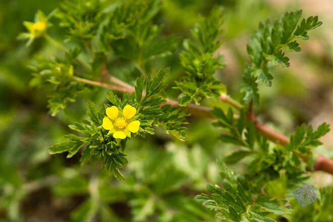 20230502 난정저수지 026.jpg