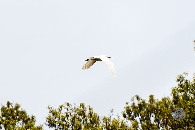 20230502 난정저수지 027.jpg