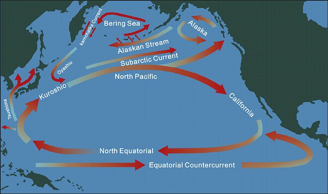 North-Pacific-Subtropical-Convergence-Zone-and-the-ocean-currents-involved-in-the-North.png