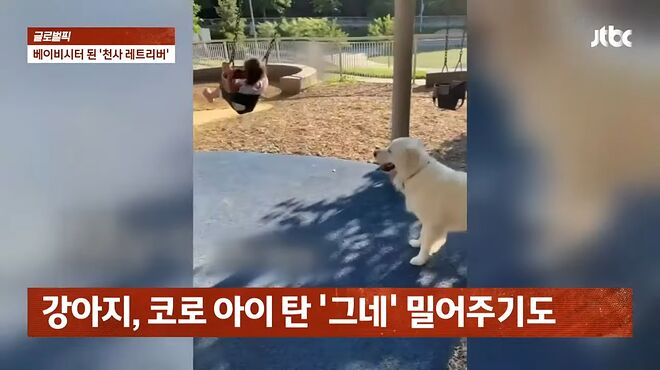 엄마보다 더 극성 '베이비시터'로 유명한 '강아지'&hellip;눈 뜨자마자 아이 방 찾아 _ JTBC 사건반장 0-12 screenshot.png