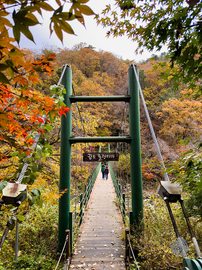 홍천 공작산 산소길 다녀왔습니다. - DPrime