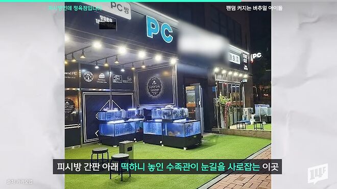 우리나라 피시방에 무슨 일이_ 회정식, 흑돼지 삼겹살 파는 정육점 피시방 등장 _ 14F 0-56 screenshot.png